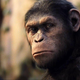 Andy Serkis as Caesar in Rise of the Planet of the Apes.